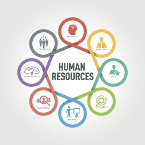 Human resources consultancy services for UK businesses