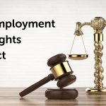 Website photos – 1